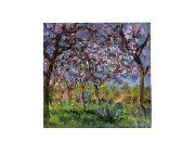 Claude Monet Printemps a Giverny France oil painting reproduction